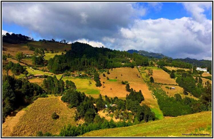 tlaquilpa